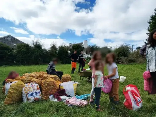 Photo de la collecte de pommes 1