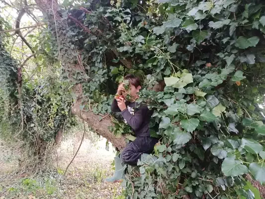 Photo de la collecte de pommes 2